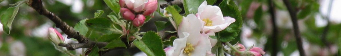 IMG_0014.JPG