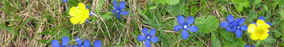 IMG_0116.JPG