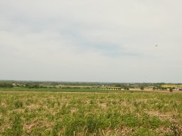 dsc_0825